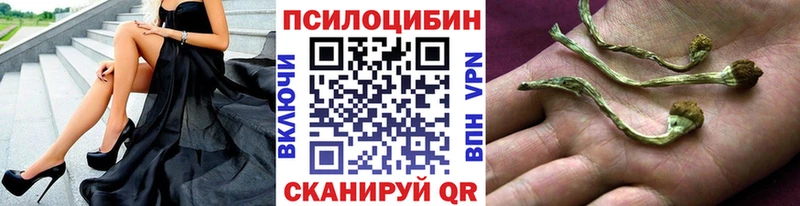 Псилоцибиновые грибы Psilocybine cubensis Новый Оскол